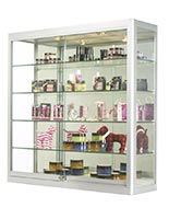 Wall mount display cases for spas and salons